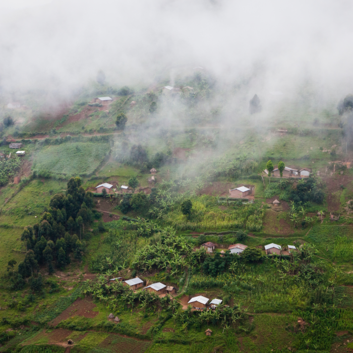 Untitled design (10)