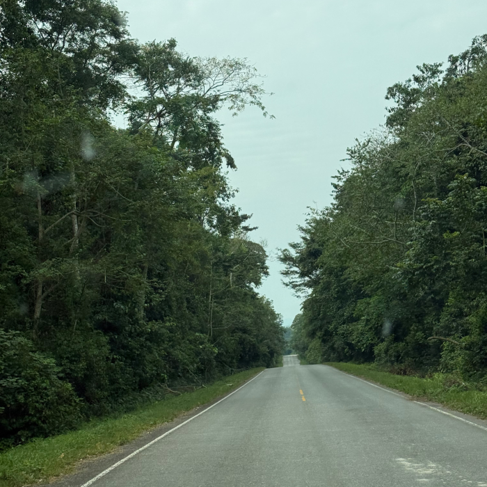 Untitled design (13)