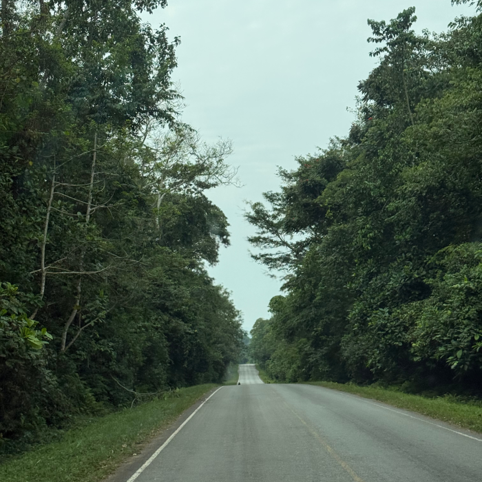 Untitled design (14)