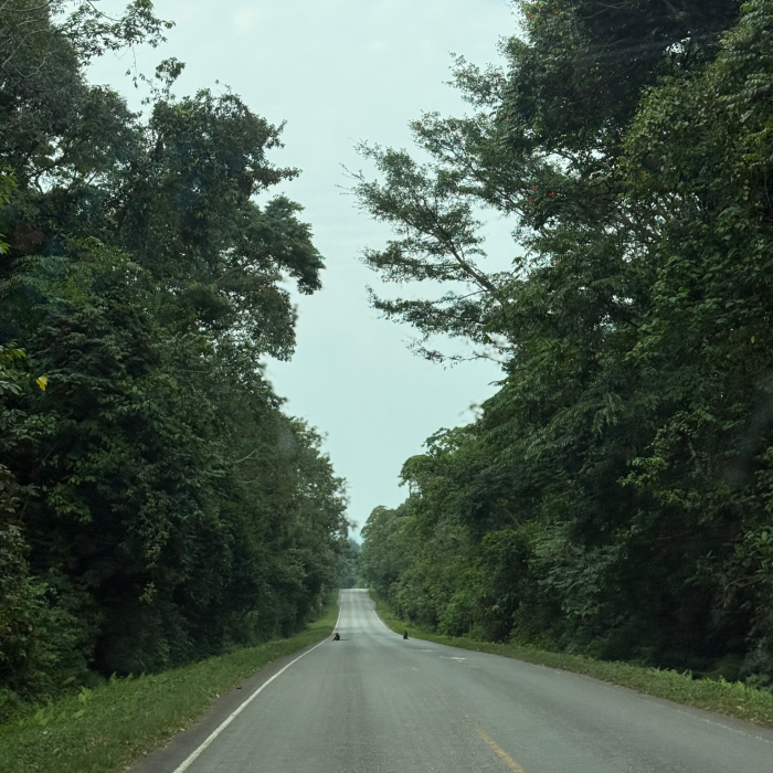 Untitled design (15)