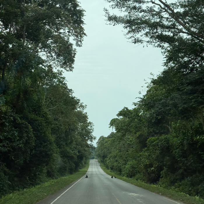 Untitled design (16) (1)