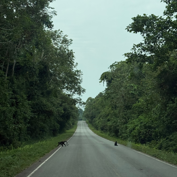 Untitled design (18) (1)