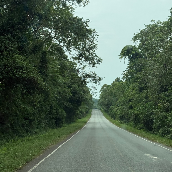 Untitled design (19) (1)