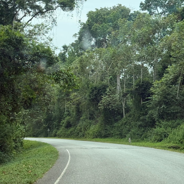 Untitled design (20) (1)