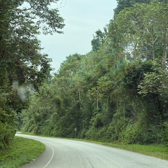 Untitled design (21) (1)