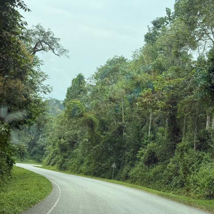 Untitled design (22)