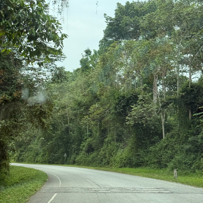 Untitled design (23) (1)