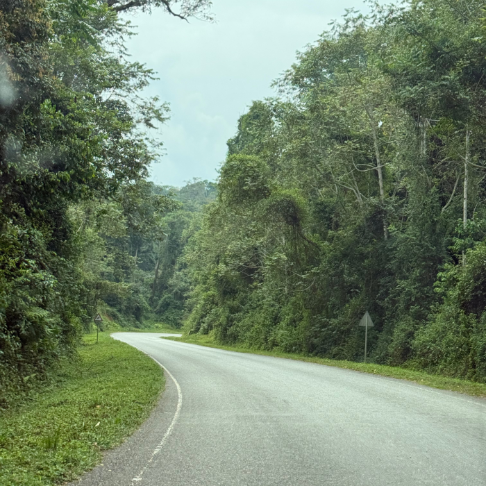 Untitled design (24)